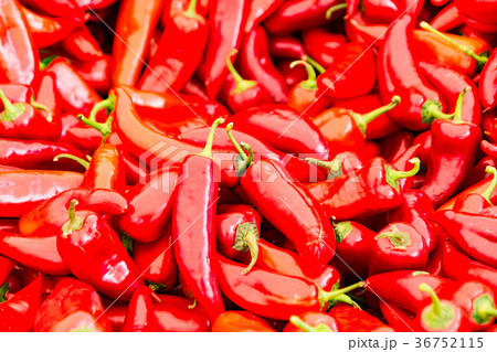 Red chili peppers for sale 36752115