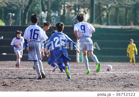 少年サッカー 36752522
