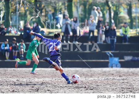 少年サッカー 少年サッカー 36752748