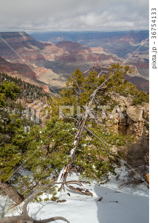 Grand Canyon Winter Landscape Grand Canyon Winter Landscape 36754133
