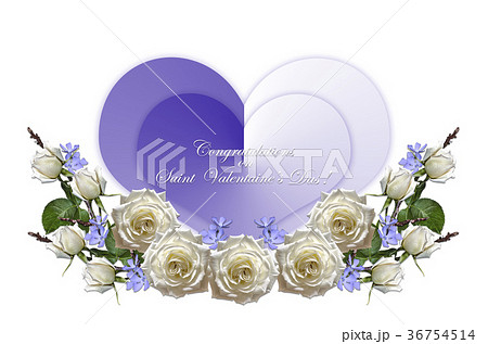 White roses with two blue hearts on white fon White roses with two blue hearts on white fon 36754514
