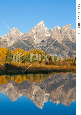 Autumn Reflection in theTetons Autumn Reflection in theTetons 36754539