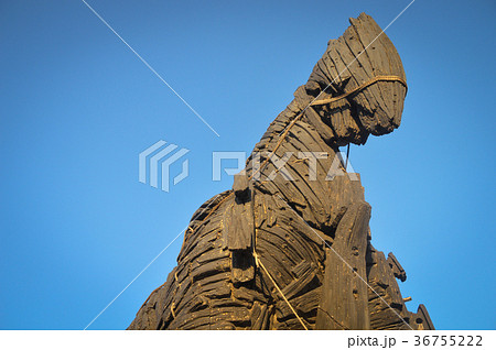 Trojan horse and blue sky 36755222
