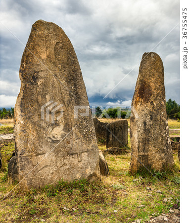 Megalithic Tiya stone pillars near Addis Abbaba Megalithic Tiya stone pillars near Addis Abbaba 36755475