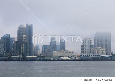 サンディエゴ湾の風景(アメリカ合衆国・カリフォルニア州) サンディエゴ湾の風景(アメリカ合衆国・カリフォルニア州) 36755848