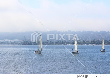 サンディエゴ湾の風景(アメリカ合衆国・カリフォルニア州) サンディエゴ湾の風景(アメリカ合衆国・カリフォルニア州) 36755862