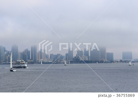サンディエゴ湾の風景(アメリカ合衆国・カリフォルニア州) サンディエゴ湾の風景(アメリカ合衆国・カリフォルニア州) 36755869