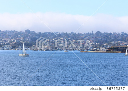 サンディエゴ湾の風景(アメリカ合衆国・カリフォルニア州) サンディエゴ湾の風景(アメリカ合衆国・カリフォルニア州) 36755877