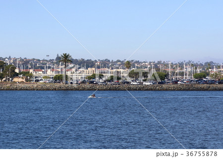 サンディエゴ湾の風景(アメリカ合衆国・カリフォルニア州) サンディエゴ湾の風景(アメリカ合衆国・カリフォルニア州) 36755878