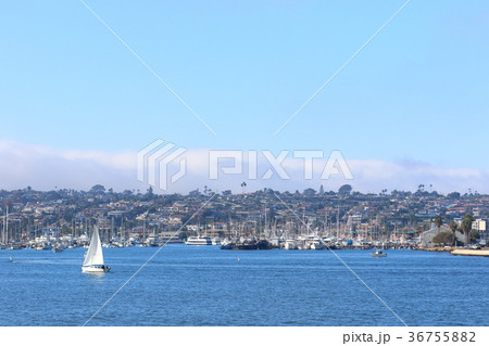 サンディエゴ湾の風景(アメリカ合衆国・カリフォルニア州) サンディエゴ湾の風景(アメリカ合衆国・カリフォルニア州) 36755882