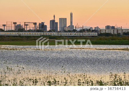 見沼田圃：見沼夕景 36756413