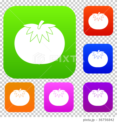 Tomato set collection Tomato set collection 36756842