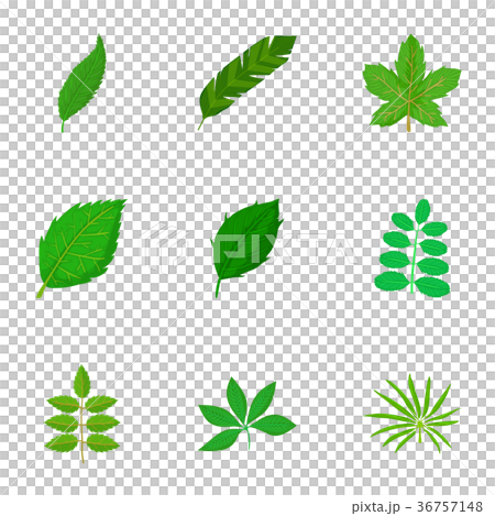 Green leaf icons set, cartoon style - Stock Illustration [36757148] - PIXTA