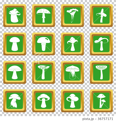 Mushroom icons set green 36757171