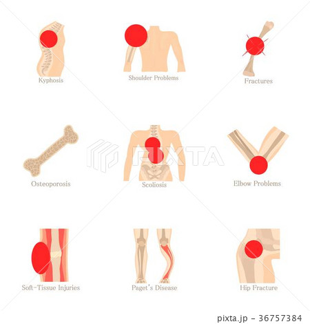 Orthopedic icons set, cartoon style 36757384
