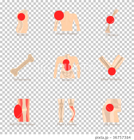 Orthopedic icons set, cartoon style 36757384