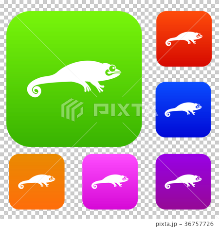 Chameleon set collection Chameleon set collection 36757726