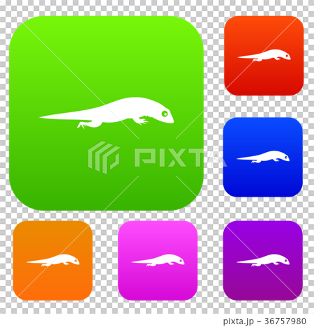 Lizard set collection Lizard set collection 36757980