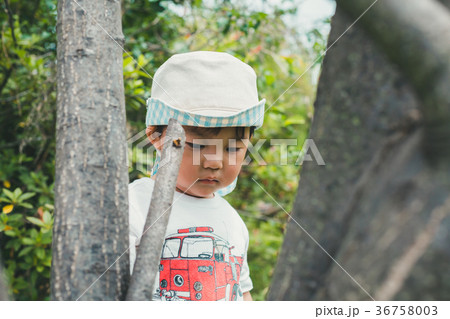 2 years old 2 years old 36758003