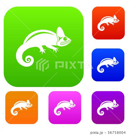 Chameleon set collection 36758004