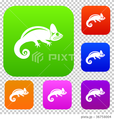 Chameleon set collection 36758004