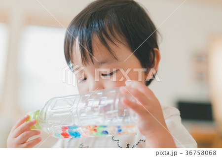2 years old 2 years old 36758068