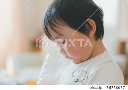2 years old 2 years old 36758077