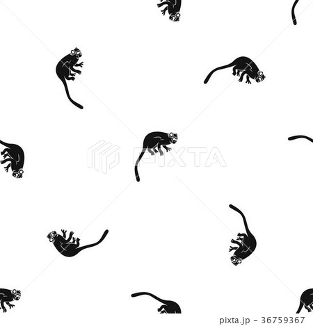Marmoset monkey pattern seamless black 36759367