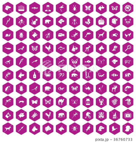 100 animals icons hexagon violet 100 animals icons hexagon violet 36760733