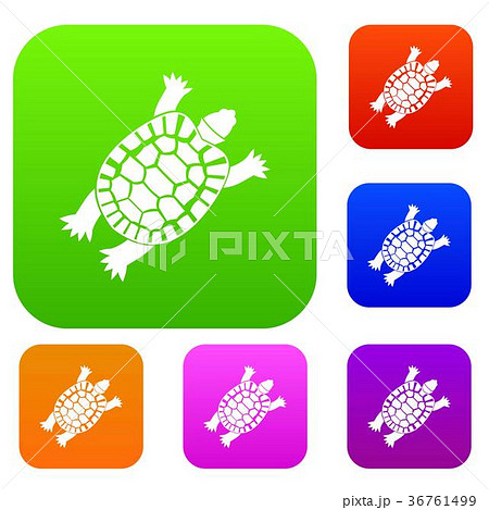 Turtle set collection Turtle set collection 36761499