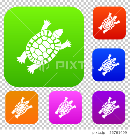 Turtle set collection Turtle set collection 36761499
