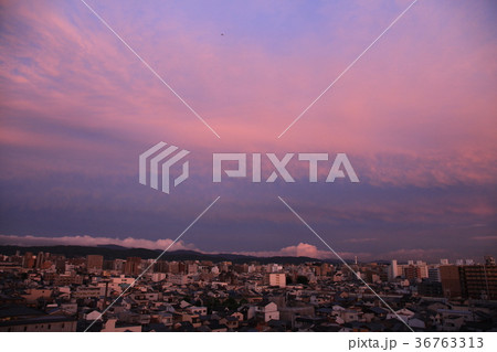 京都　日没　薄暮　Kyoto Sunset  36763313