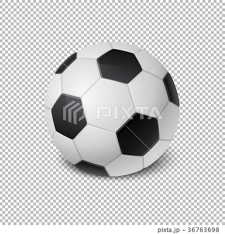 Realistic Vector Soccer Ball Icon Closeup Isolatedのイラスト素材