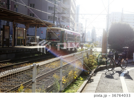 都電と電車ノスタルジー 36764033