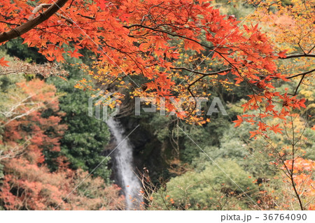 秋の観光スポット白滝 36764090