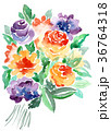 水彩ばら花束オレンジ色バイオレット色薔薇手描きフラワー 36764318