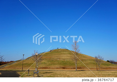 牧の原公園のひょうたん山 36764717
