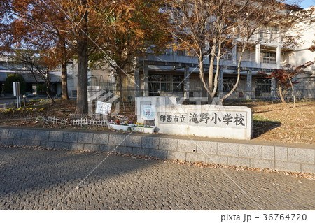 滝野小学校 滝野小学校 36764720