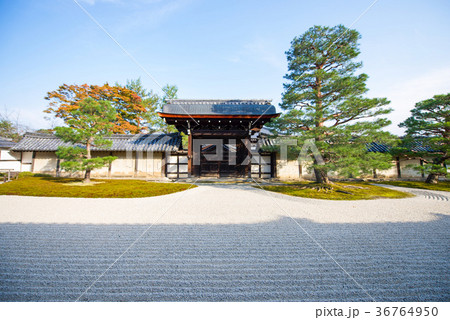Tenryu-ji garden in Arashiyama 36764950