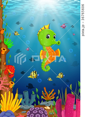 Tropical sea horse with beautiful underwater 36765606