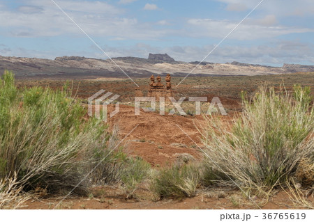 Hoodoos and desert plants in Goblin Valley 36765619