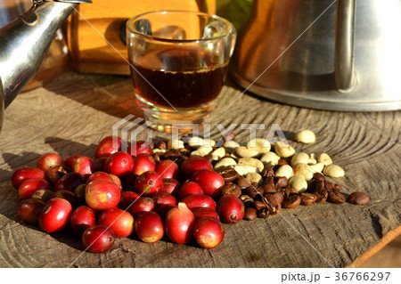 Process of coffee on wooden 36766297