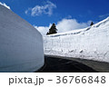 蔵王　雪の壁 36766848