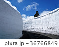 蔵王　雪の壁 36766849