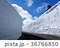 蔵王　雪の壁 36766850