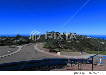 サンディエゴ　ラ・ホヤ　展望 36767462