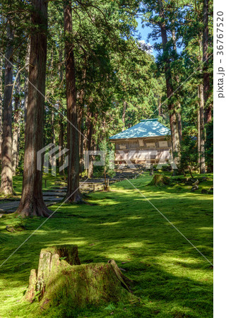平泉寺白山神社　境内風景 36767520