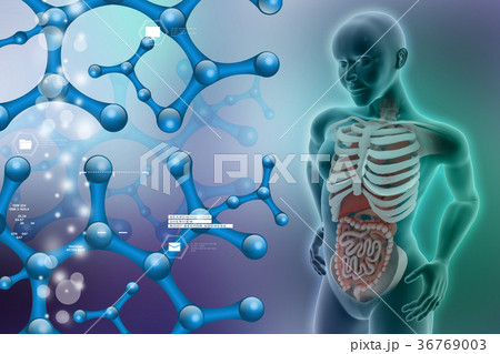 woman female human body 36769003