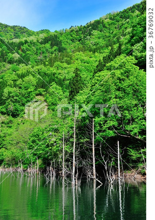 徳山湖 徳山湖 36769032