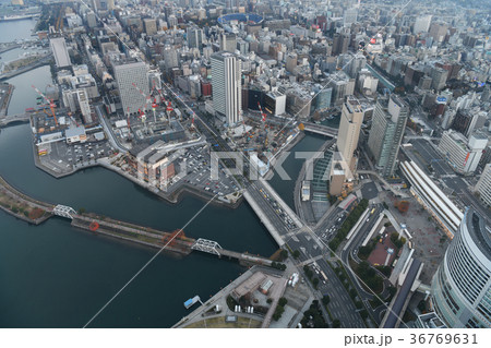 横浜の都市景観 36769631